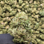 Gas Mask (S) - 33.06% THCa - EX - Image 2