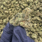 Gorilla Fett (S) - 34.76% THCa - PR - Image 2