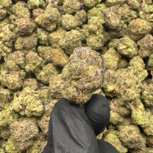 Gorilla Glue THCa Flower Indica