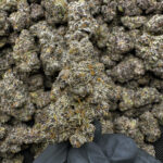Grape Diesel THCa Flower Sativa