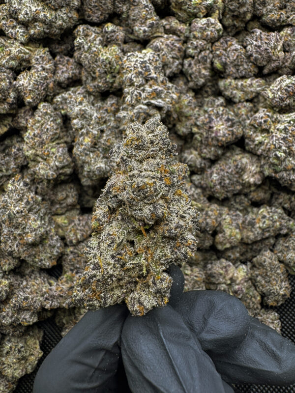 Grape Diesel THCa Flower Sativa