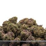 Gumbo THCa Flower Indica