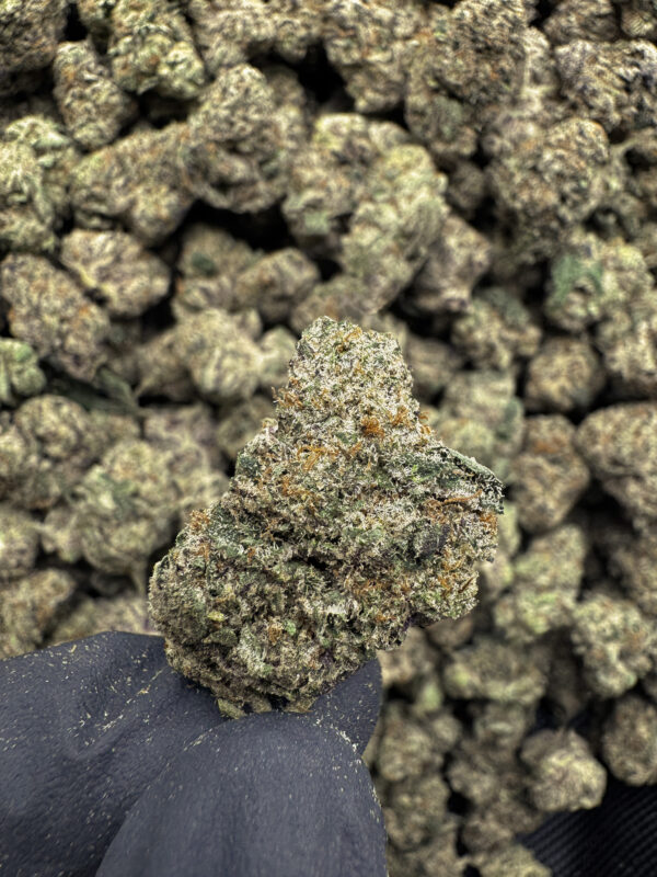 LA Kush Cake THCa Flower Indica