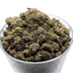 Laughing Buddha THCa Flower Sativa