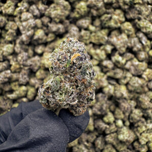 Laughing Buddha THCa Flower Sativa