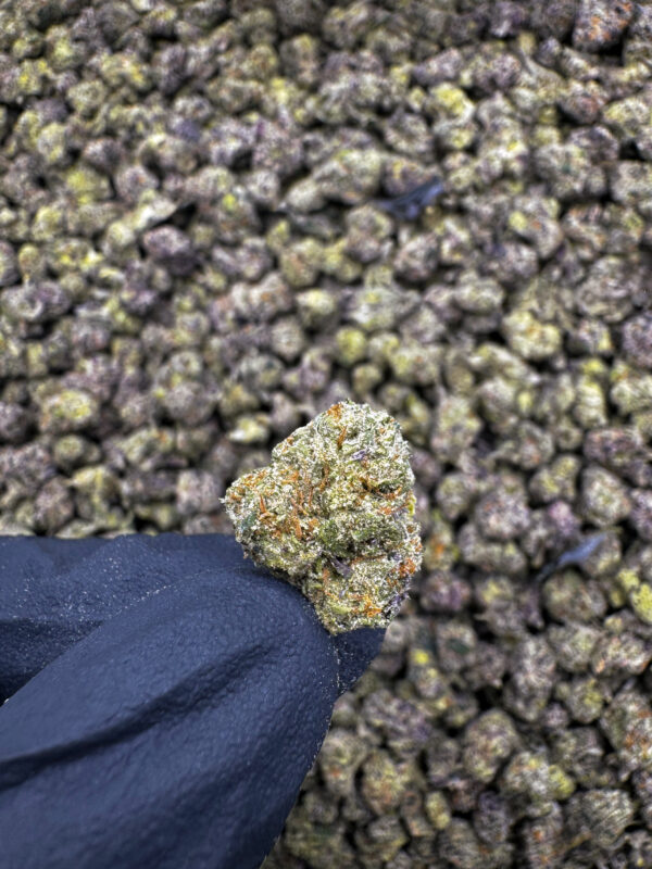 Lift Ticket THCa Flower Hybrid