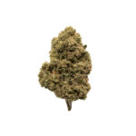 Miami Heat THCa Flower Sativa