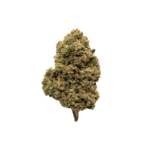 Miami Heat THCa Flower Sativa