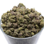 Mintz THCa Flower Sativa