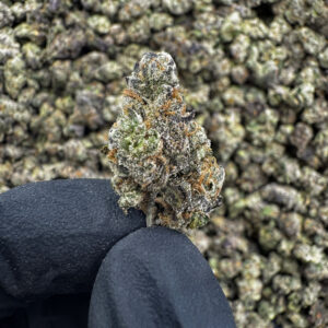 Mintz THCa Flower Sativa