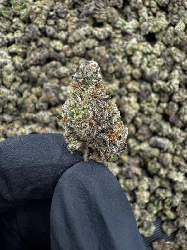 Mintz THCa Flower Sativa