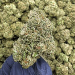 Ocean Grown - 34.48% THCa - EX - Image 2
