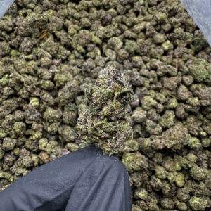 Pablo's Revenge THCa Flower Indica