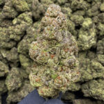 Pablo's Revenge THCa Flower Indica