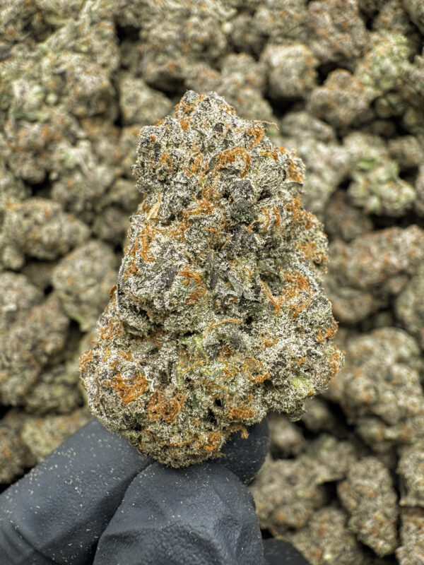 Pineapple Express #2 THCa Flower Sativa