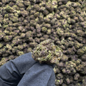 Purple Runtz (S) - 33.98% THCa - PR - Image 2