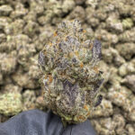 Super Duty THCa Flower — Sativa — 34.76% — Super Exotic - Image 2