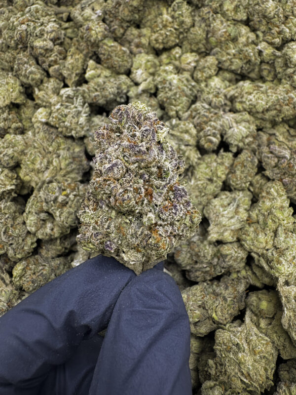 Rainbow THCa Flower Hybrid