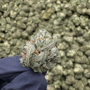 Scooby Snacks THCa Flower Indica