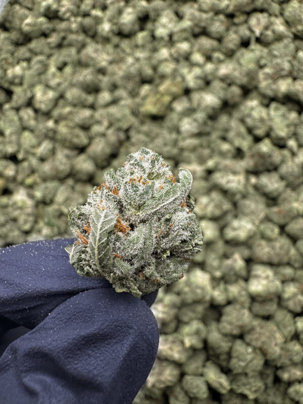 Scooby Snacks THCa Flower Indica