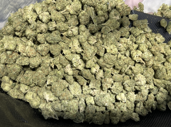 LA Kush Cake Smalls THCa Flower Indica LA Kush Cake Smalls THCa Flower Indica