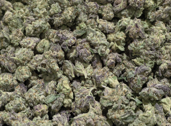 Creme Brulee Smalls THCa Flower Indica Creme Brulee Smalls THCa Flower Indica