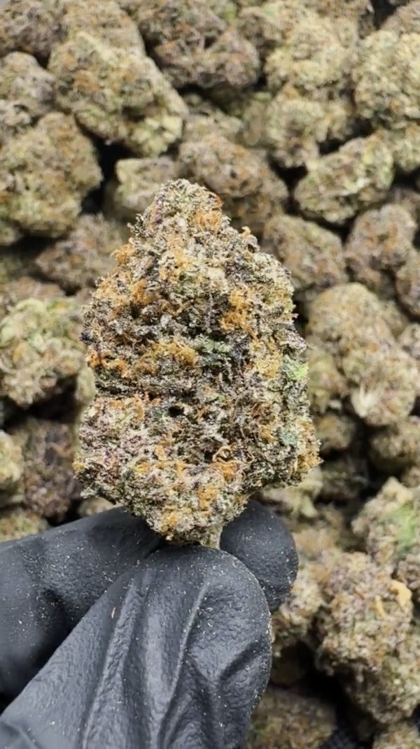 LA Pop Rocks THCa Flower Indica LA Pop Rocks THCa Flower Indica