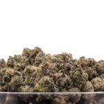 Snoop Dog OG THCa Flower Indica