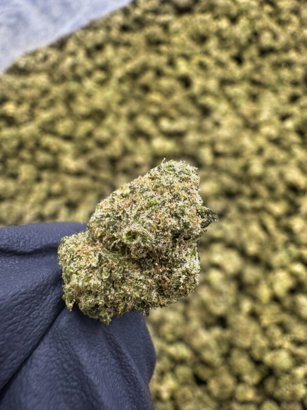 Sour Bananas THCa Flower Sativa