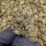 Sour Gummy THCa Flower Indica