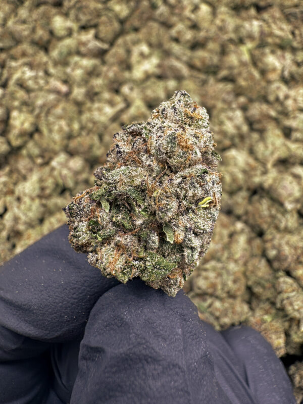 Sour Gummy THCa Flower Indica