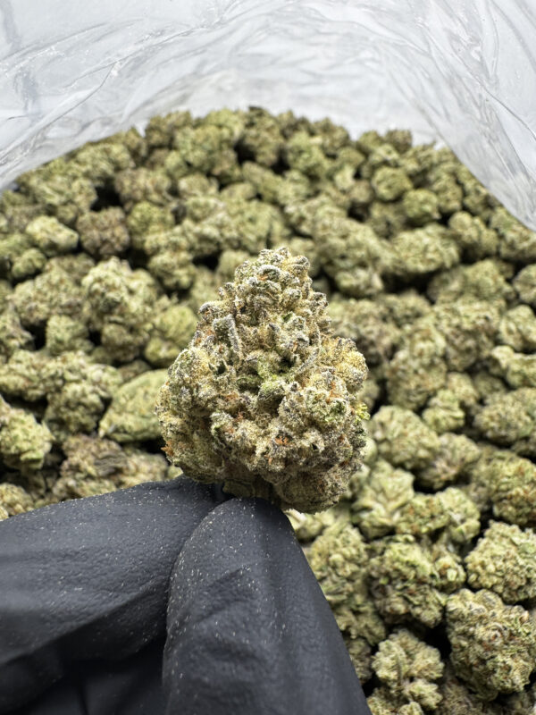 Sweet Cookies THCa Flower Indica