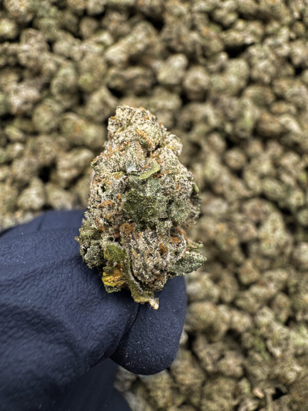 Truffle THCa Flower Indica