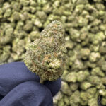 Wedding Cake THCa Flower Indica