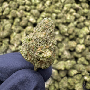 Wedding Cake THCa Flower Indica