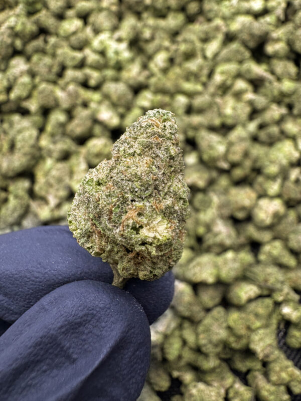 Wedding Cake THCa Flower Indica