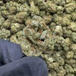 White Cherries THCa Flower Indica