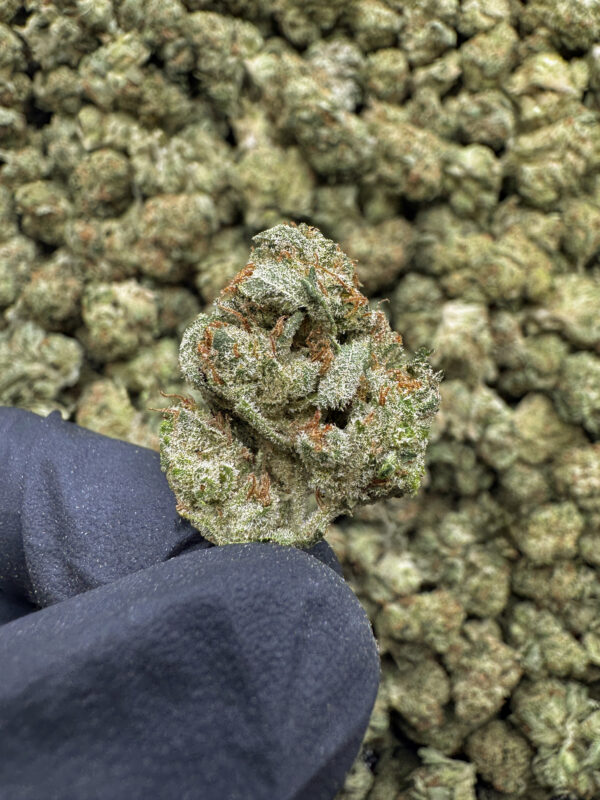 White Cherries THCa Flower Indica