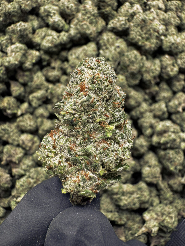 White Widow THCa Flower Sativa