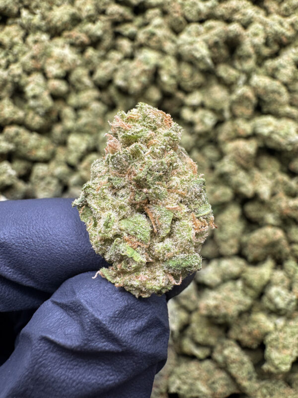 Blue Dream THCa Flower Sativa