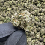 Blue Nerds (S) - 38.11% THCa - PR - Image 2