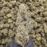 Bruce Banner THCa Flower Sativa