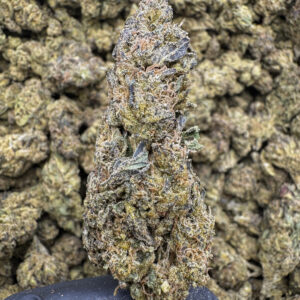 Bubble Yum Yum THCa Flower Hybrid
