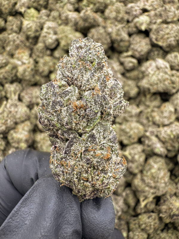 Candyland Kush THCa Flower Sativa