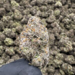 Cat Pizz- 44.73% THCa- PR - Image 2