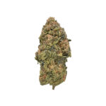 Dragon Fruit THCa Flower Hybrid