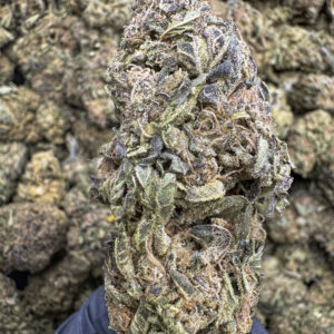 Dragon Fruit THCa Flower Hybrid
