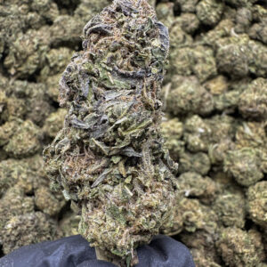 Gas Chamber THCa Flower Indica