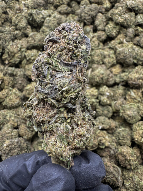 Gas Chamber THCa Flower Indica
