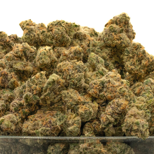 Girl Scout Cookies THCa Flower Indica